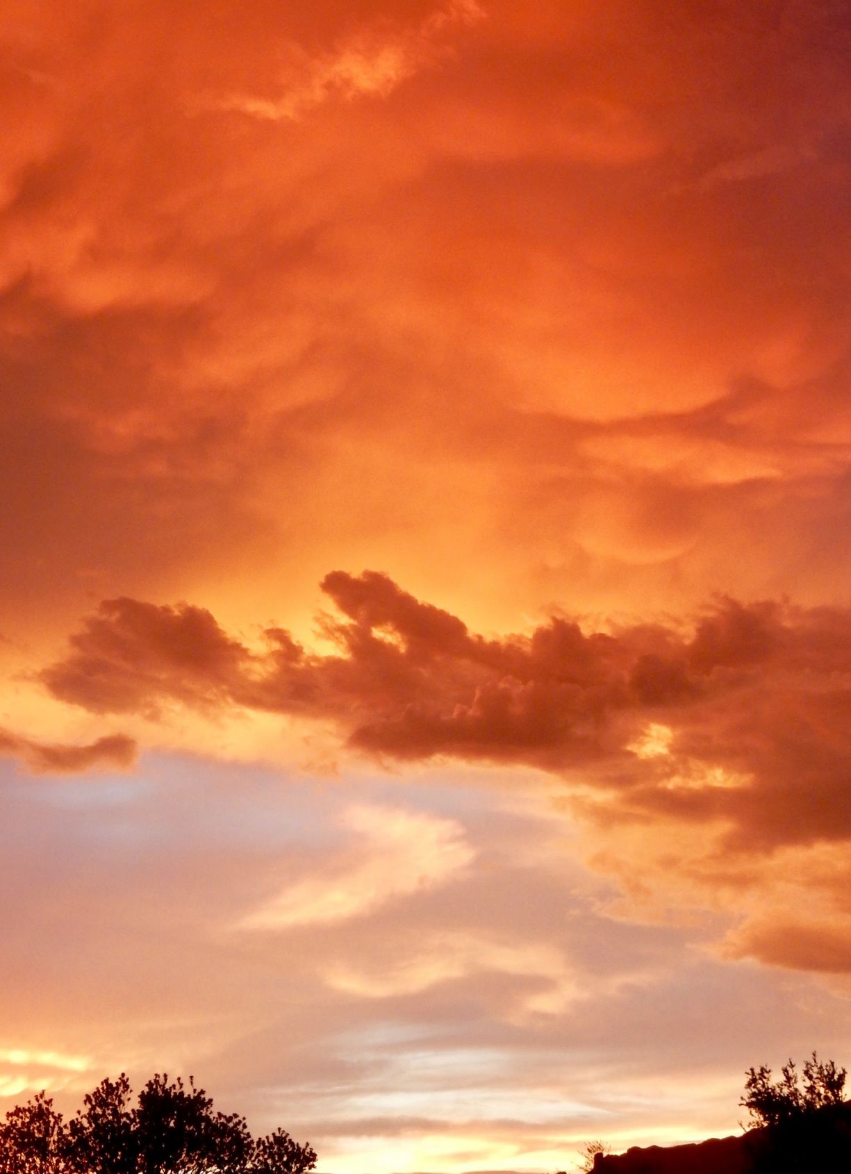 Reader sunsets
